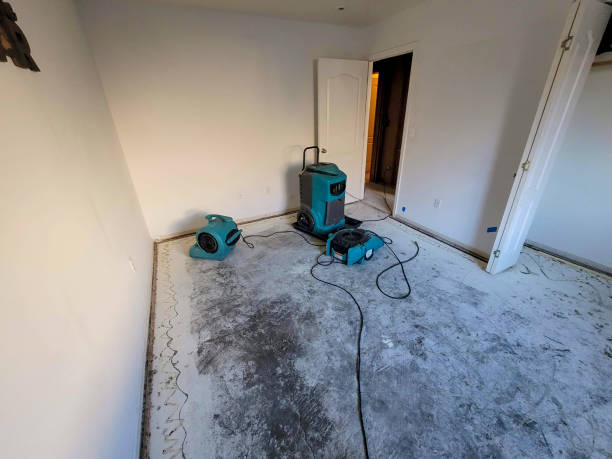 Best 24-hour water damage restoration  in Poplar Plains, CT
