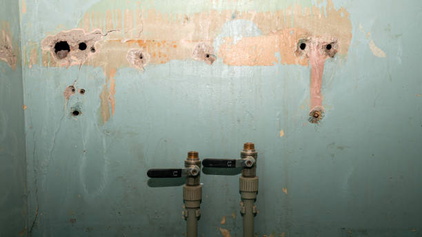 Best Emergency water extraction  in Poplar Plains, CT