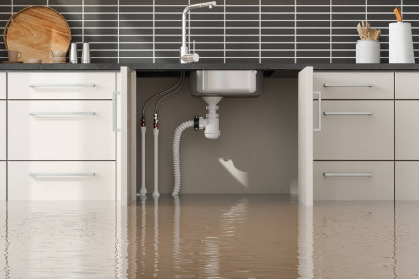 Best Water damage contractors near me  in Poplar Plains, CT